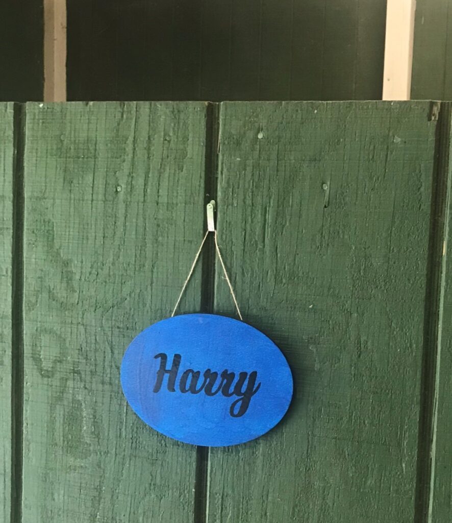horse name sign hanging on stall door