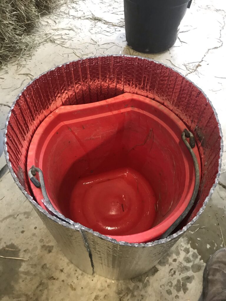 starting insulated horse water buckets